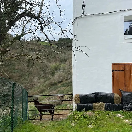 Fantastico Retiro Rural En El Corazon De Euskadi Apartmán