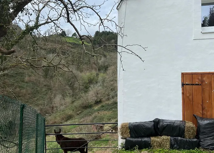 Fantastico Retiro Rural En El Corazon De Euskadi Apartment
